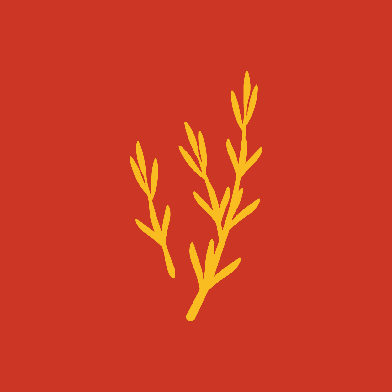 როზმარინი