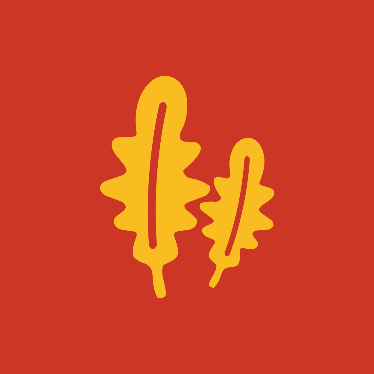 რუკოლა