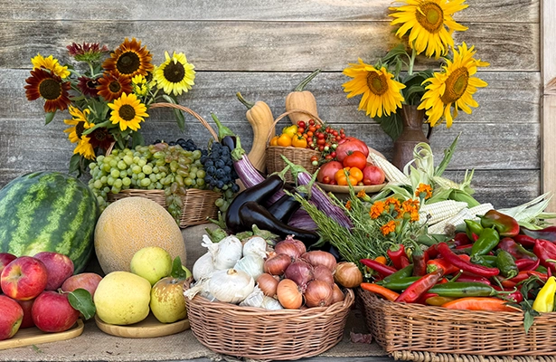 Yourland subscription — fresh seasonal produce